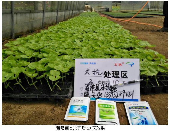 1513331736323935hfWd.png blob.png