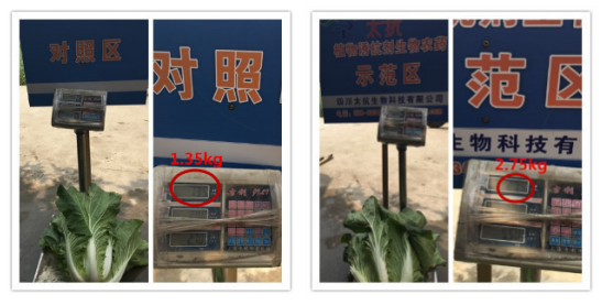 1513333373274469qt2h.png blob.png