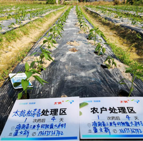 1515669656317989b8Oj.png blob.png