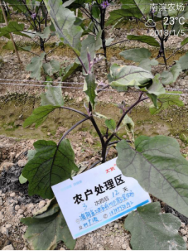 1515670079490123CTze.png blob.png