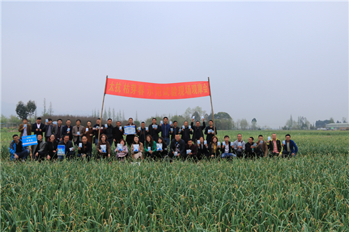 1522286604388900CDYK.png 圖片8.png