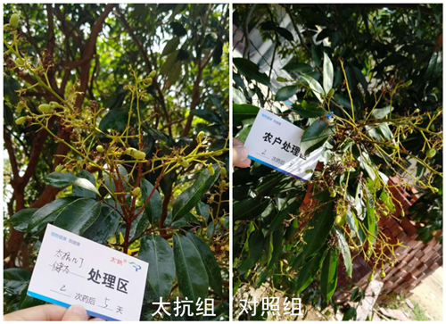 1527235428440699Q2MS.png 圖片4_副本.png