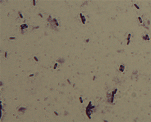 1531281694688417pdK8.png 圖片14.png