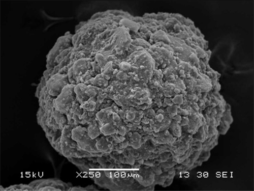 1531281707579088o4hL.png 圖片15.png