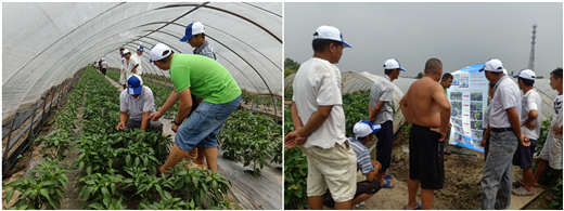 1536628646253453pw0d.png 圖片6.png