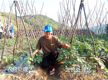 15391630956028142uq9.png 圖片4.png