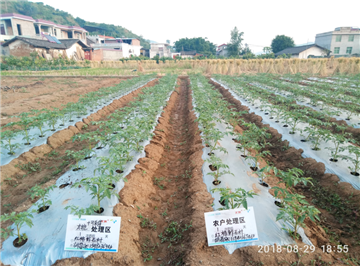 1539163400588315dstC.png 圖片12.png